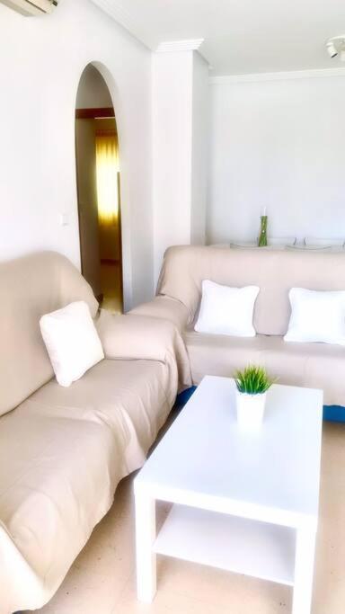 Apartamento - Playa El Campello Urbanizacion Jardin Del Mar Buitenkant foto