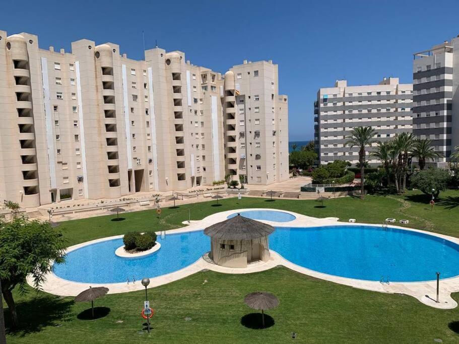 Apartamento - Playa El Campello Urbanizacion Jardin Del Mar Buitenkant foto